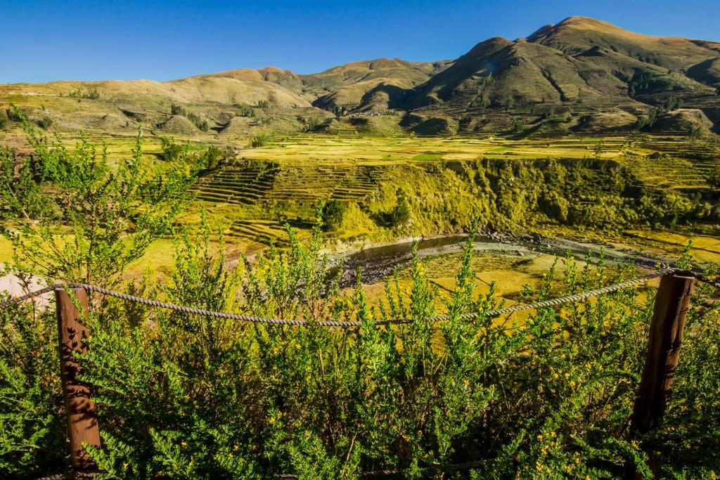Eco Inn Colca Yanque Bagian luar foto