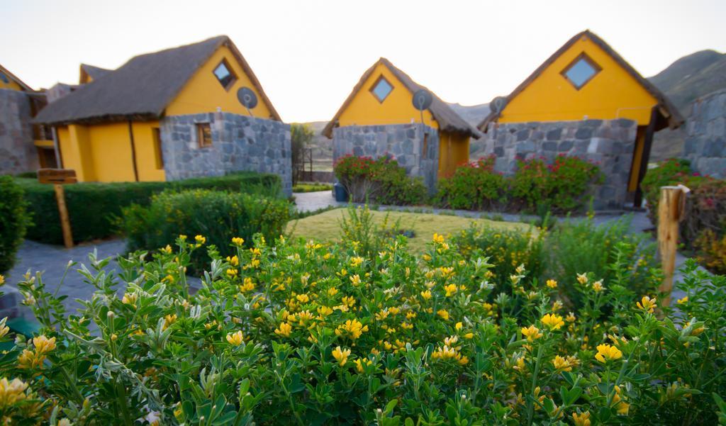 Eco Inn Colca Yanque Bagian luar foto