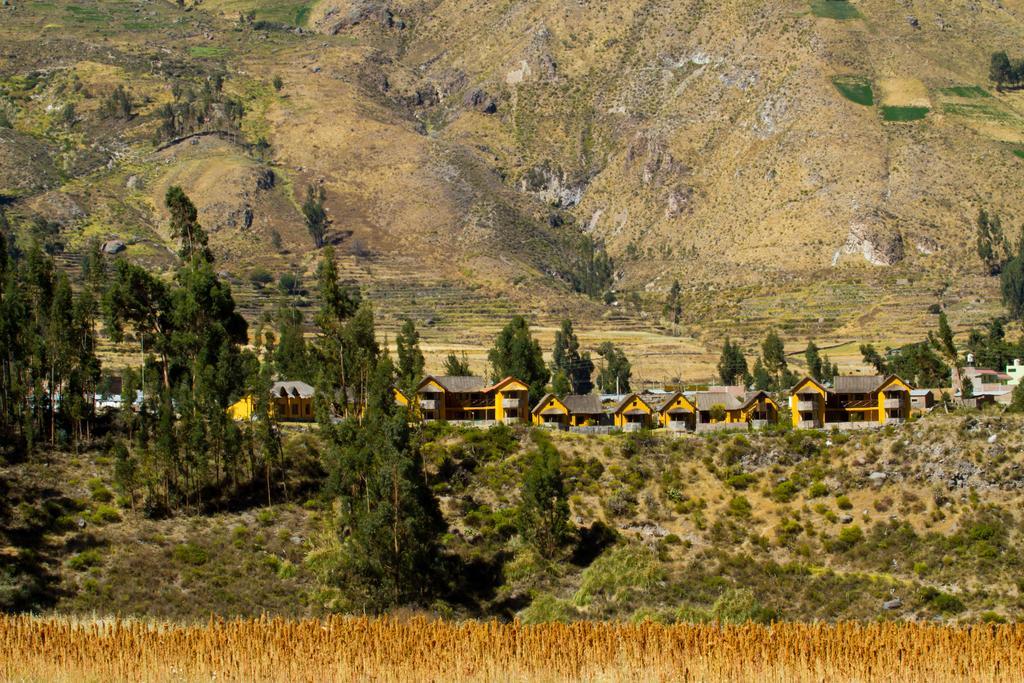 Eco Inn Colca Yanque Bagian luar foto