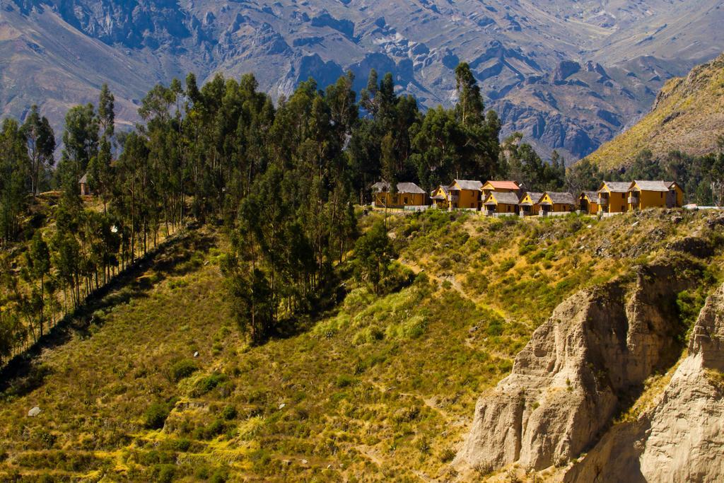 Eco Inn Colca Yanque Bagian luar foto