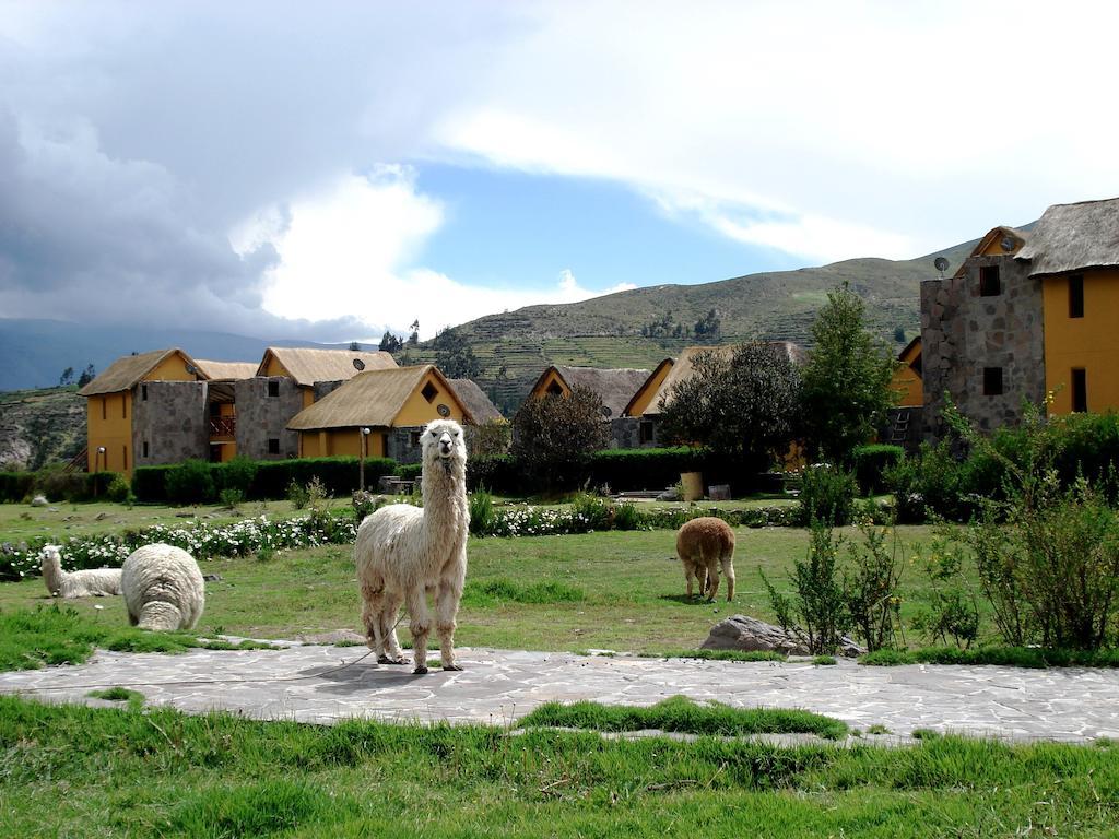 Eco Inn Colca Yanque Bagian luar foto